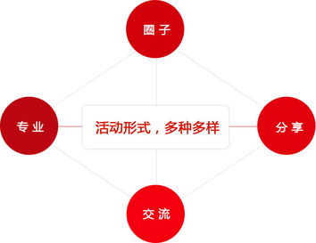 网盈俱乐部 引领未来，赋能实业投资的综合服务平台